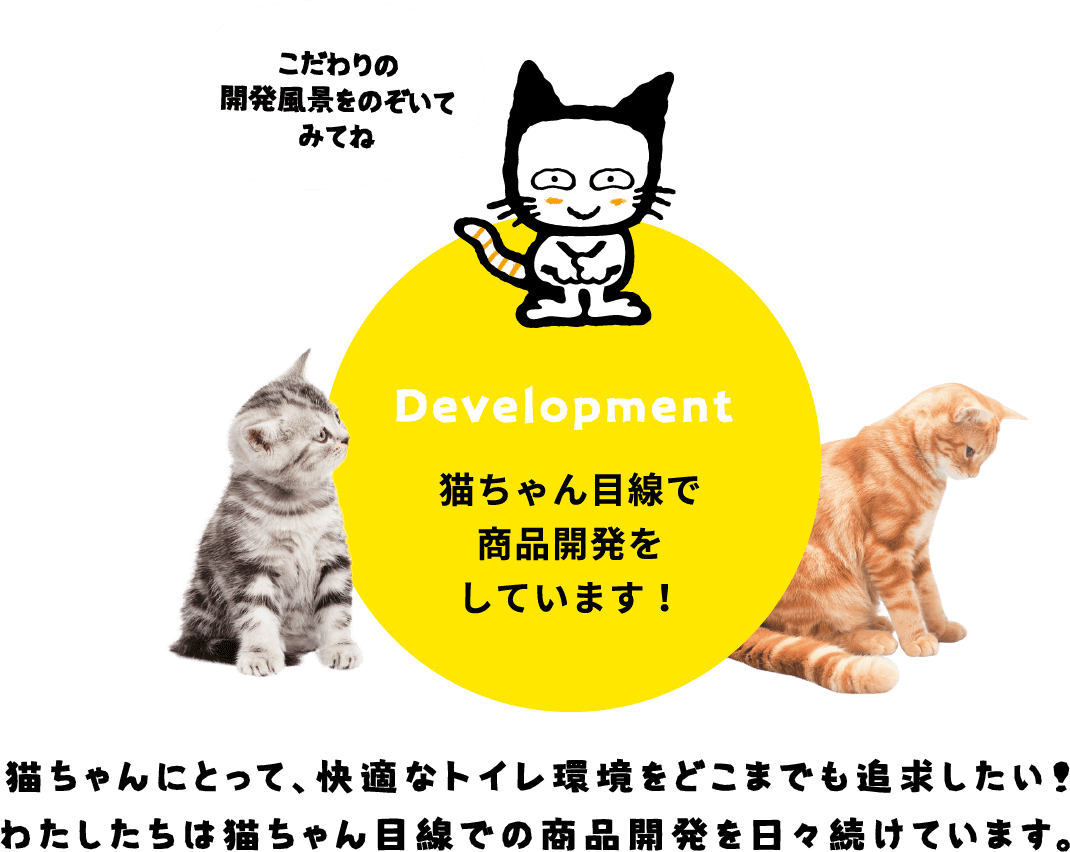 こだわりの開発風景をのぞいてみてね Development 猫ちゃん目線で商品開発をしています！