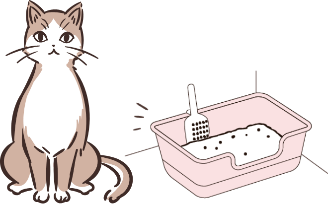 猫ちゃんとオーナーの様々な猫トイレ事情に対応した幅広い商品ラインナップ