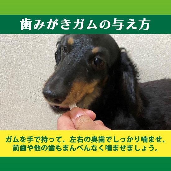 PETKISS 食後の歯みがきガム 超小型犬用｜ライオン商事株式会社